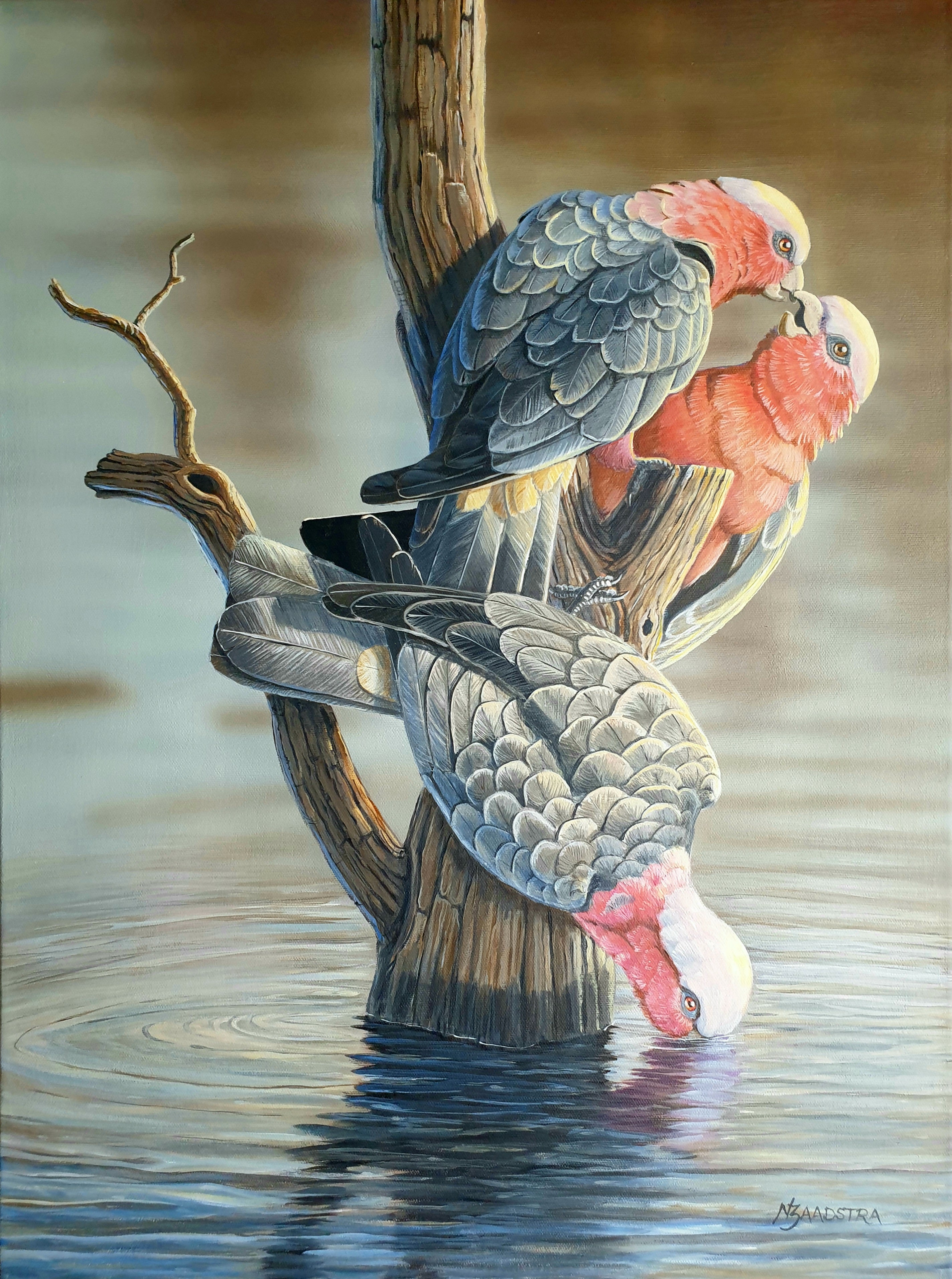 A Refreshing Dip Print