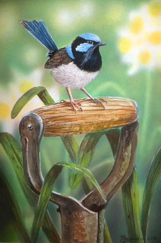Curious Wren Print