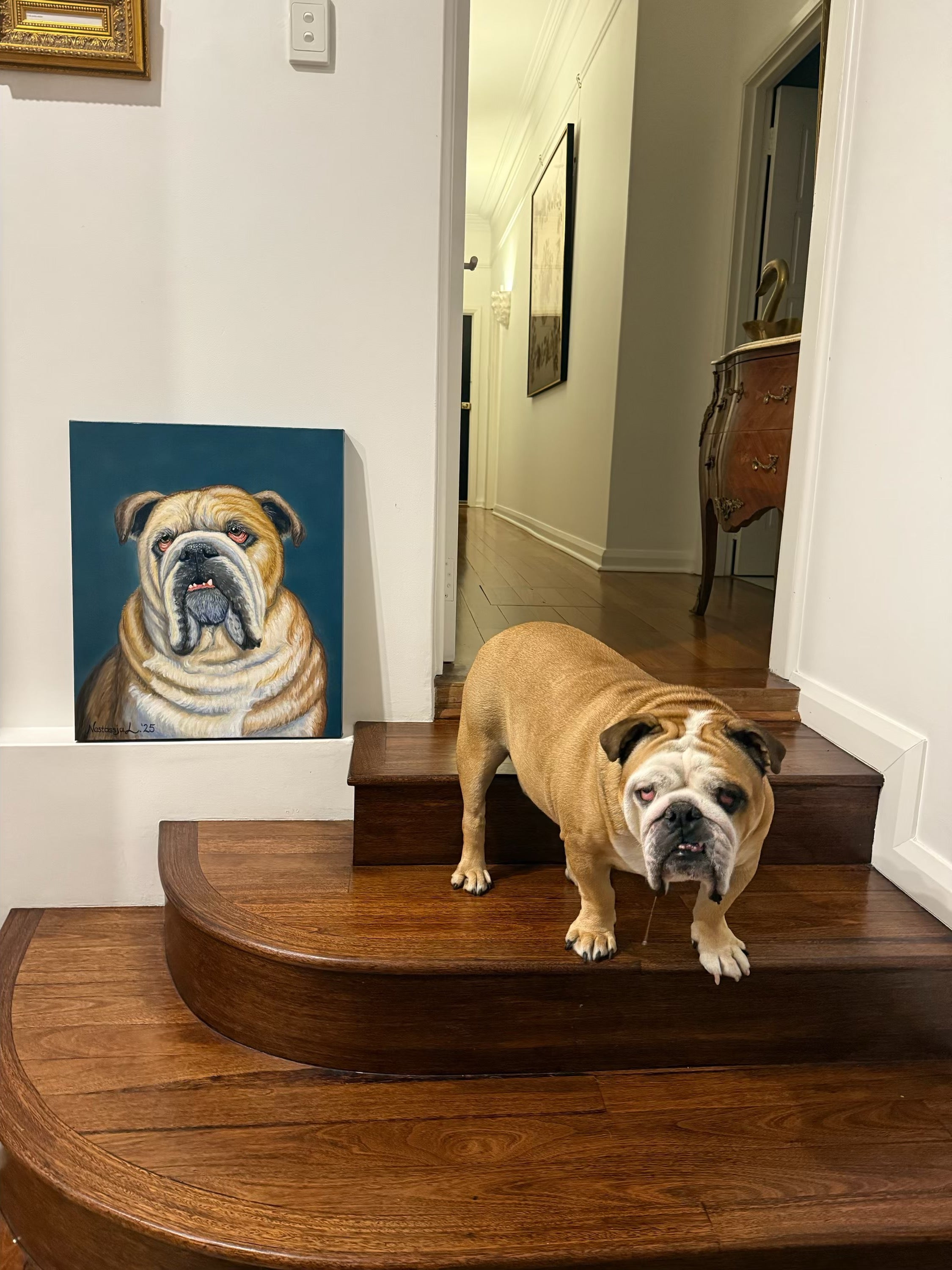Custom Pet Portraits
